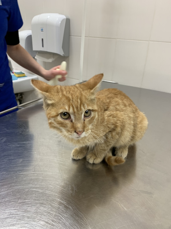 D67CAEA9-B11A-478F-9285-AD9F33D95212