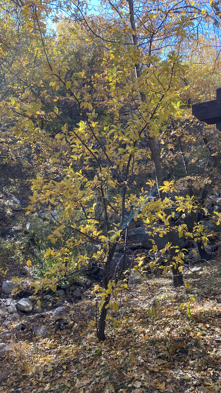 2528E133-5FC3-4F09-BFC4-D36CFA14238E