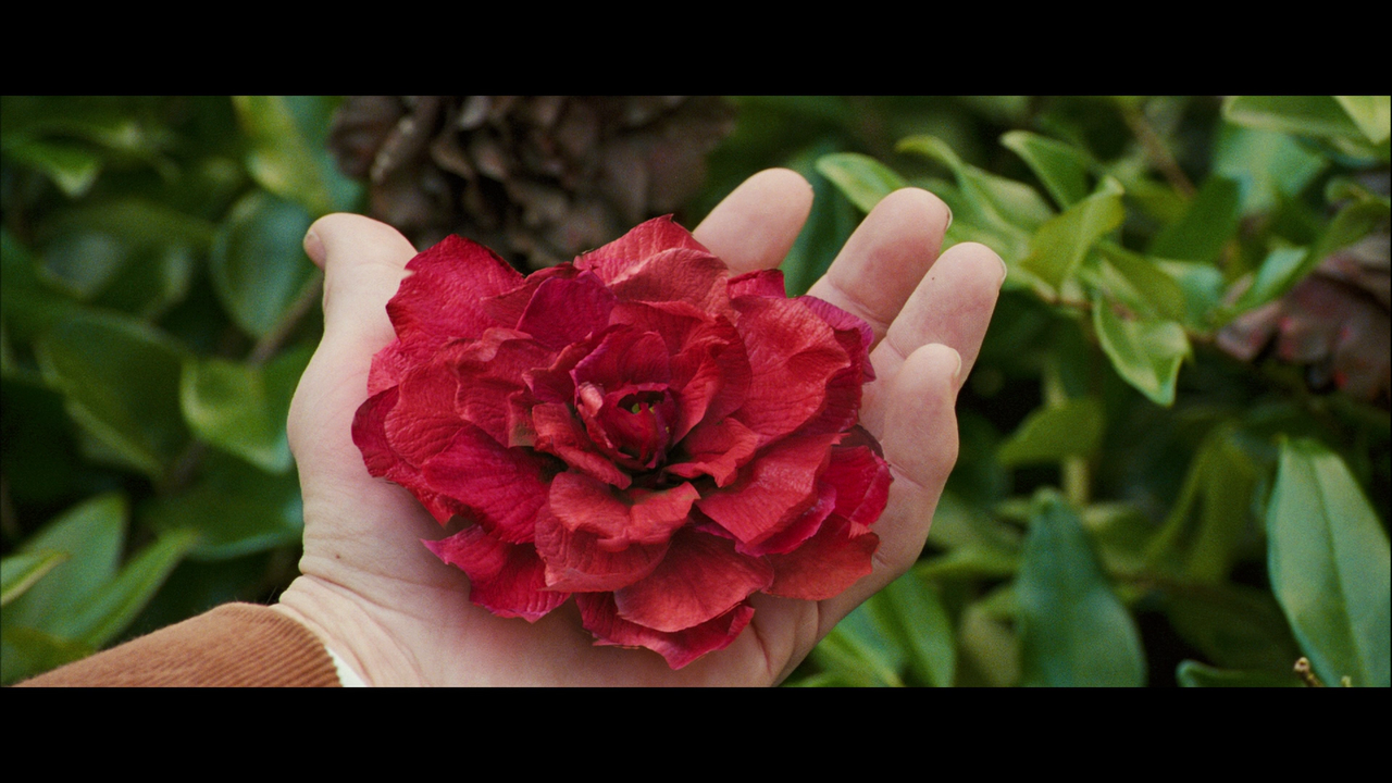 vlcsnap-2024-06-12-18h26m10s812