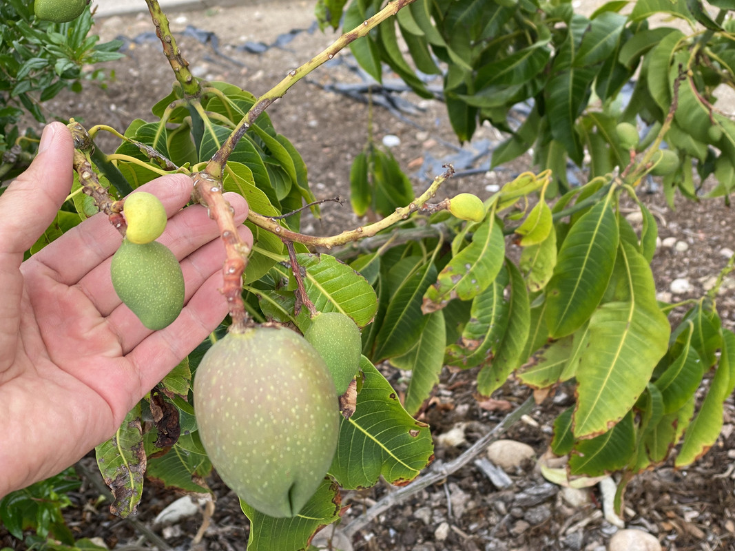 1506599C-C362-4EF5-9AE2-E8EB0B625895