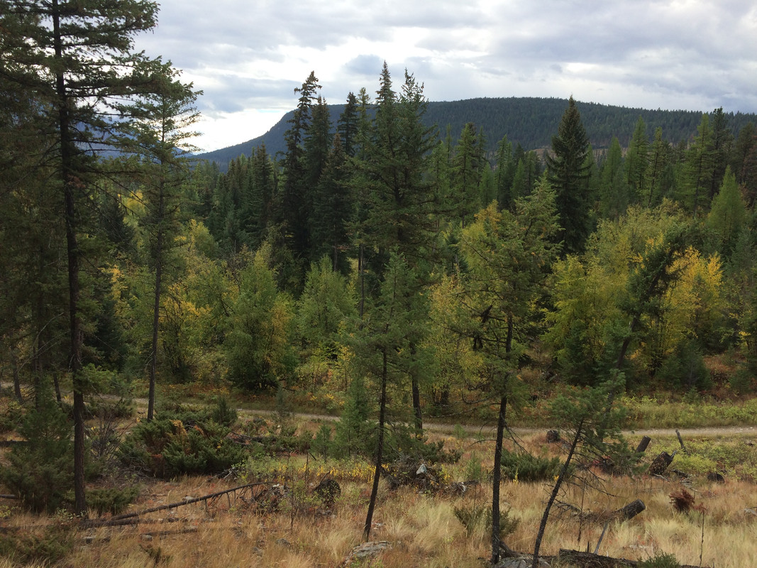 4B5312BA-6237-4B06-9D6F-73F3BDB8DAA6