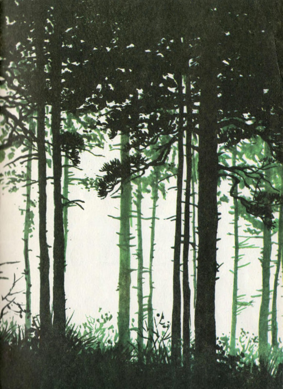 p0004