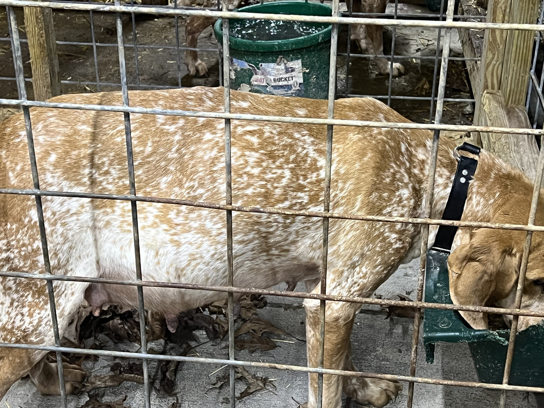 0B0CFCF1-1DB2-4AF8-AF42-1E3A565E7C9B