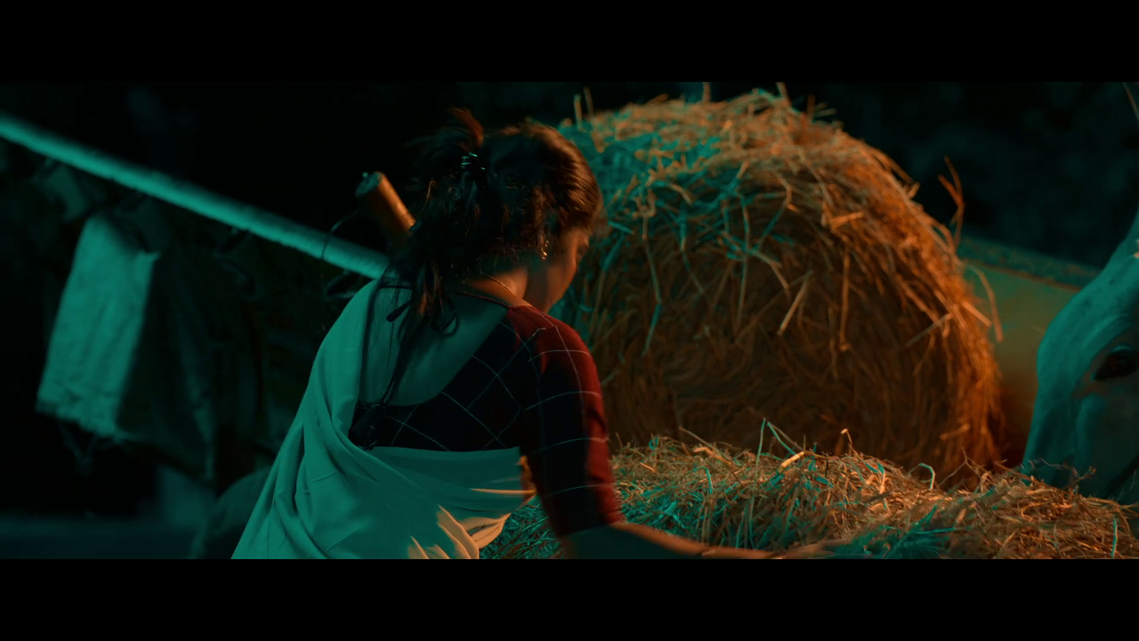 vlcsnap 2025 11 01 14h29m44s276