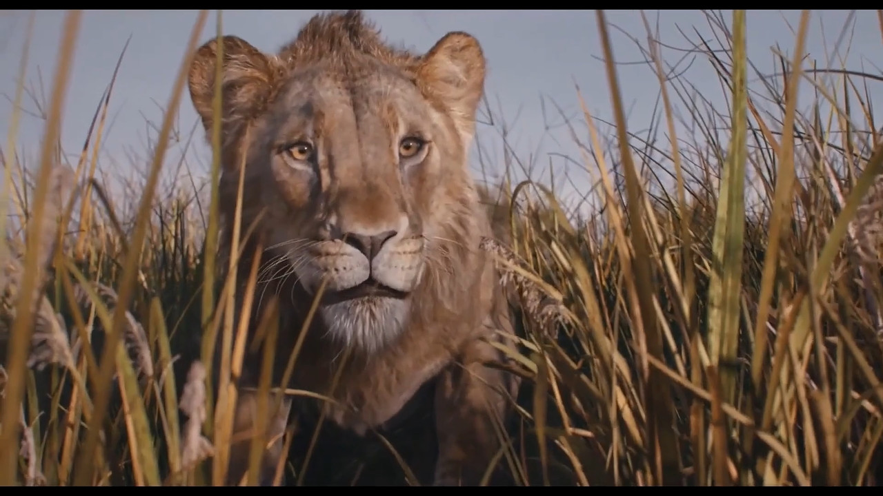 (Vietsub) Mufasa The Lion King 2024 1080p WEB x264 PCM 2.0.mkv_snapshot_00.30.11.476