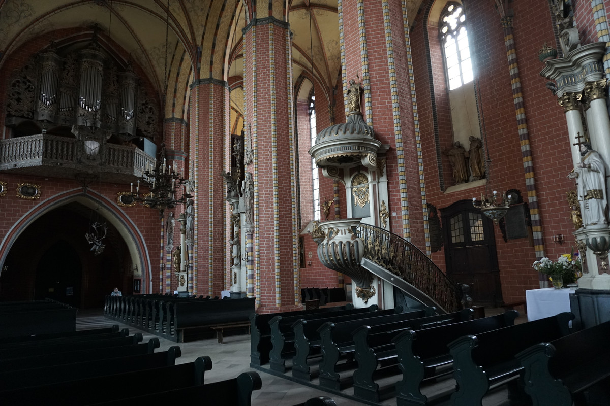 20.41 - DSC08141 (zbychowiec)