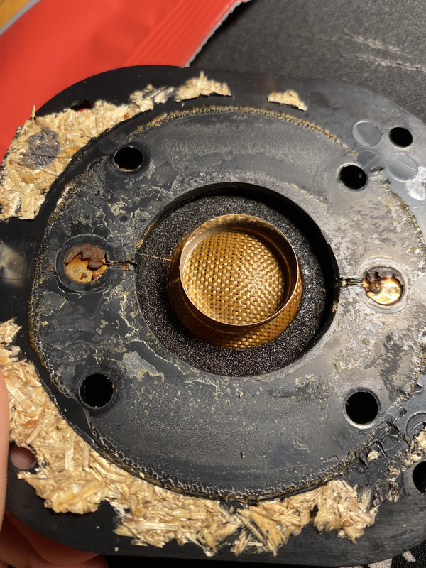 5389CA58-14A0-4980-8FCC-515228C0BEA4