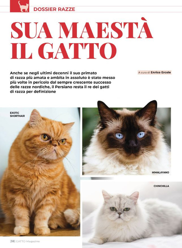 Ga Ma Ago-Set 2023 (5)