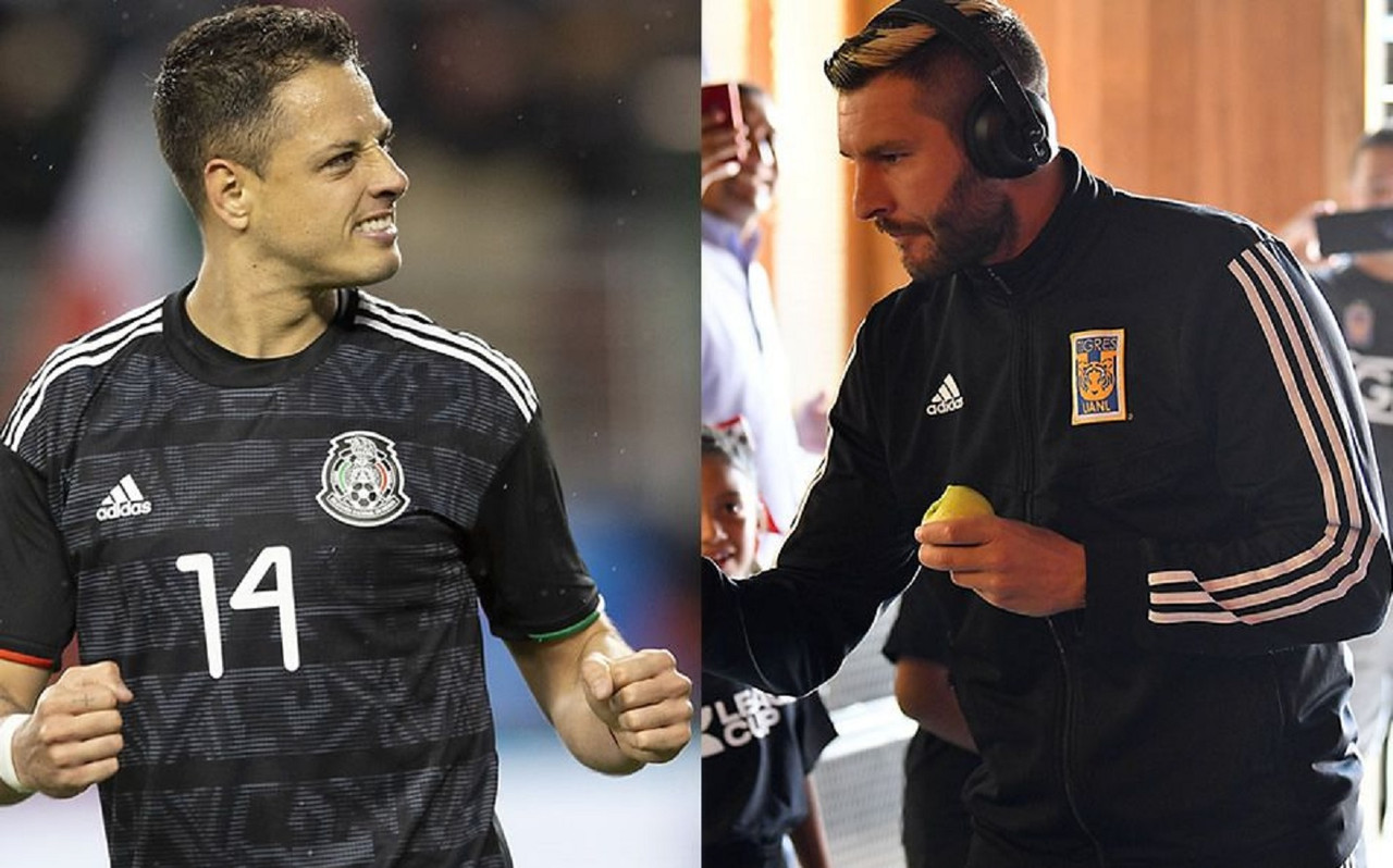 ¿Chicharito fascinado por Gignac? Así correspondió a los elogios del francés