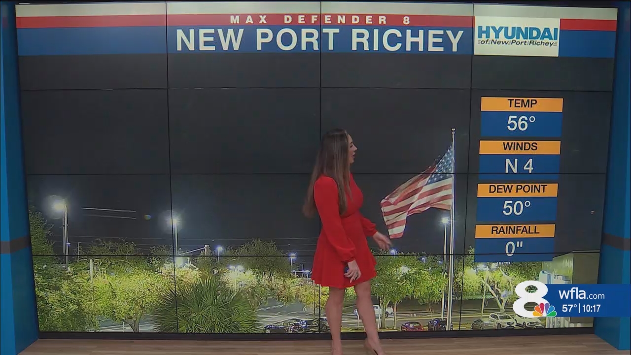 NewsChannel 8 News at 1000pm_20241130_03000330.ts_snapshot_18.21.283