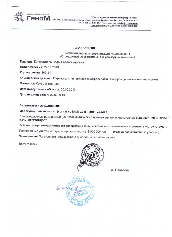 Колесникова С.А (1) (1)