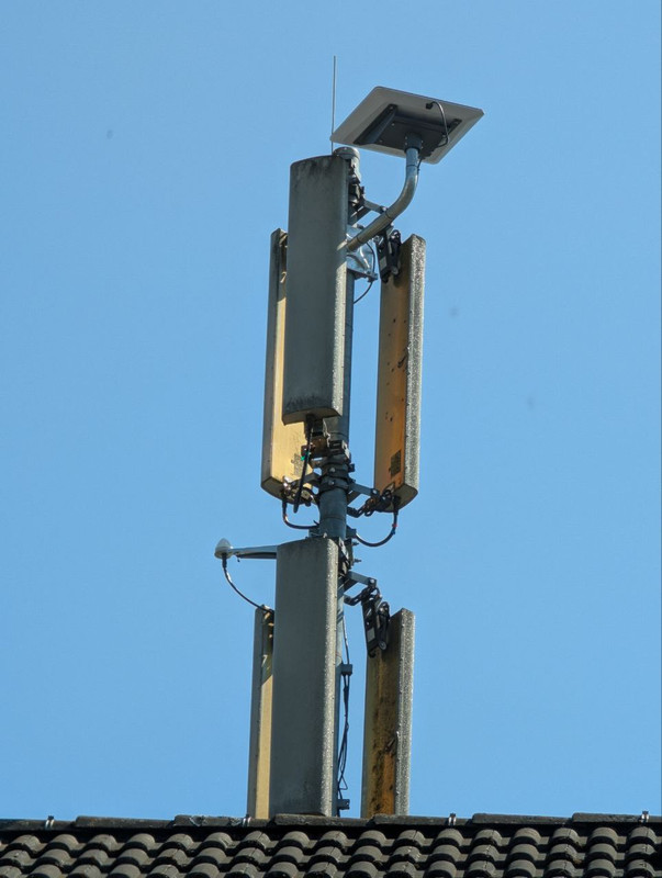 IMG 20260320 200125 949