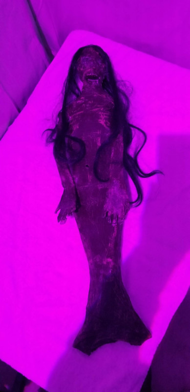 1D0C6F3D-7A69-4AEC-9958-B7FCBA9550EB