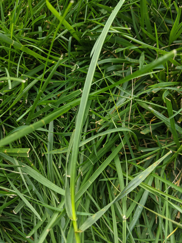 PXL_20210918_132041879