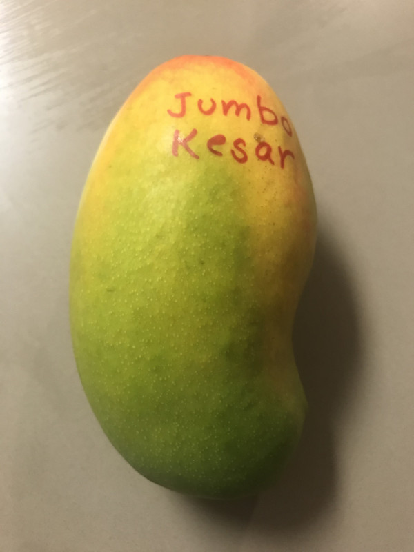 ADD90425-1786-46F7-89C0-100D513F464E