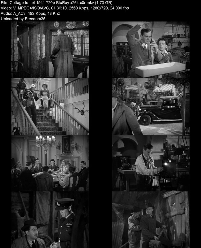 Cottage-to-Let-1941-720p-Blu-Ray-x264-x0
