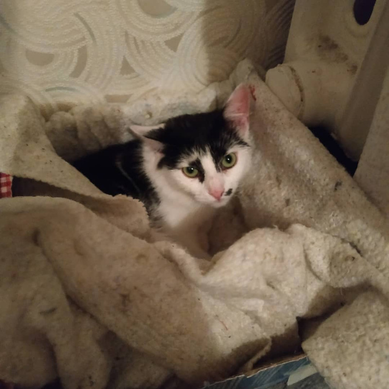 ЛуЛу_Евгений1