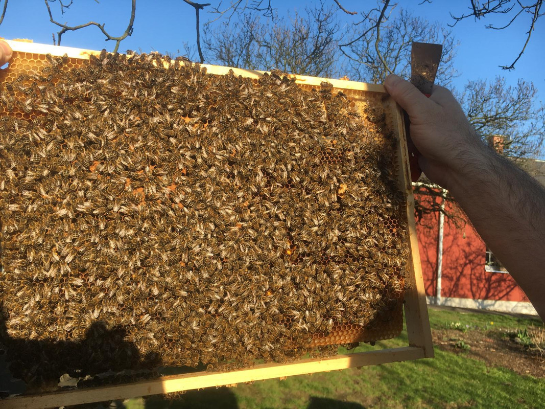 1BA03A31-D40C-4706-803C-DEDED914B658