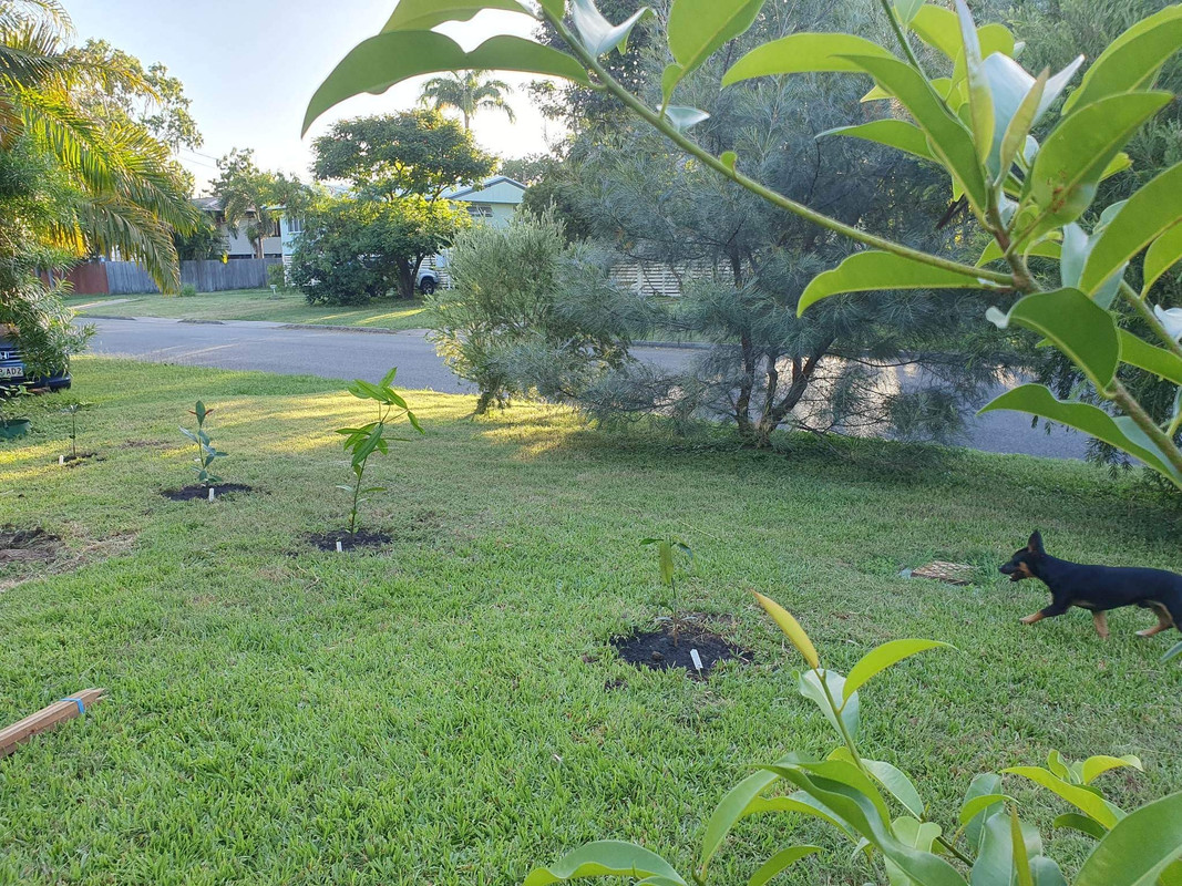 7BC358F4-066D-4A91-90AA-A4E5592991BC