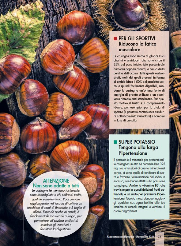 Alim Nat Nov 2019 (4)