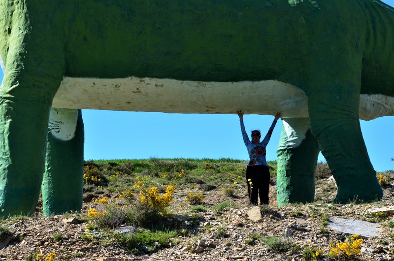 Soria y sus pueblos-2010/2013/2020 - Blogs of Spain - VILLAR DEL RIO-25-5-2013 (3)