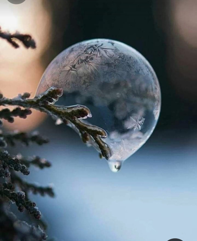 Screenshot_20231122_230926_Pinterest