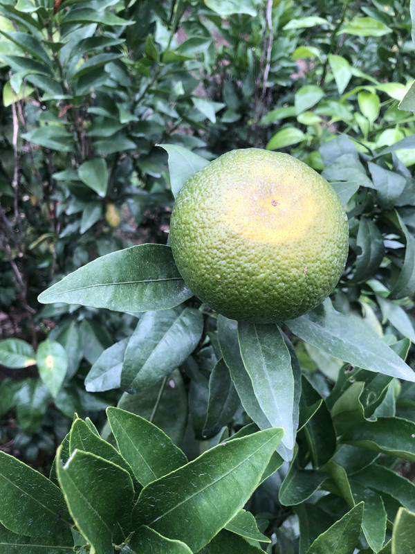 微信图片_20241030153341