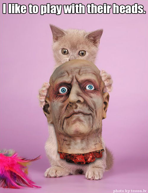 tumblr_lyq1a6Hzc41qzs6oc