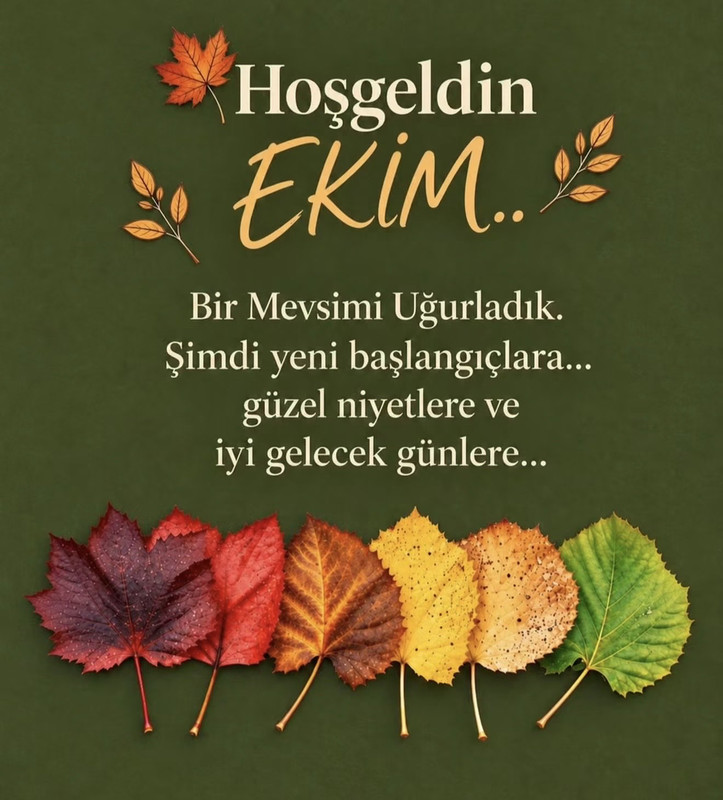 02DA401E 5CCF 4CE5 850C B75A3587E5AD