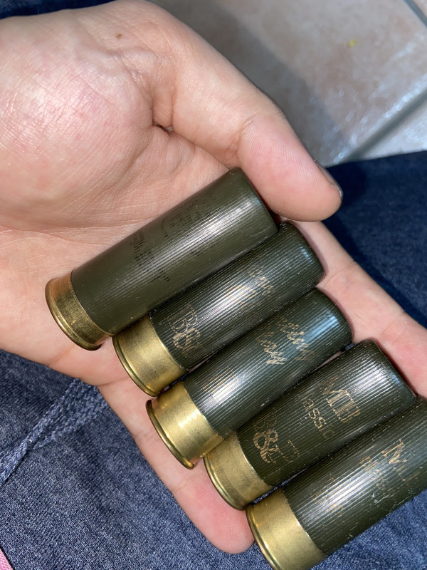 F137DF88-CFCC-4808-84A1-76D5D9F18604