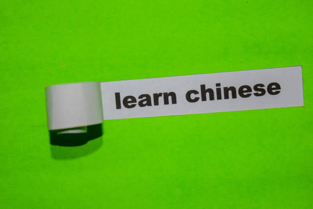 Chinese language course description