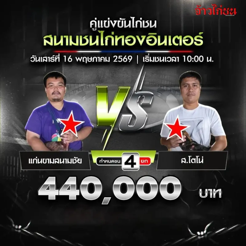 แก่นขามสนามชัย vs ส.โตโน่ โปรแกรมไก่ชน สนามชนไก่ทองอินเตอร์ 16 พฤษภาคม 2569