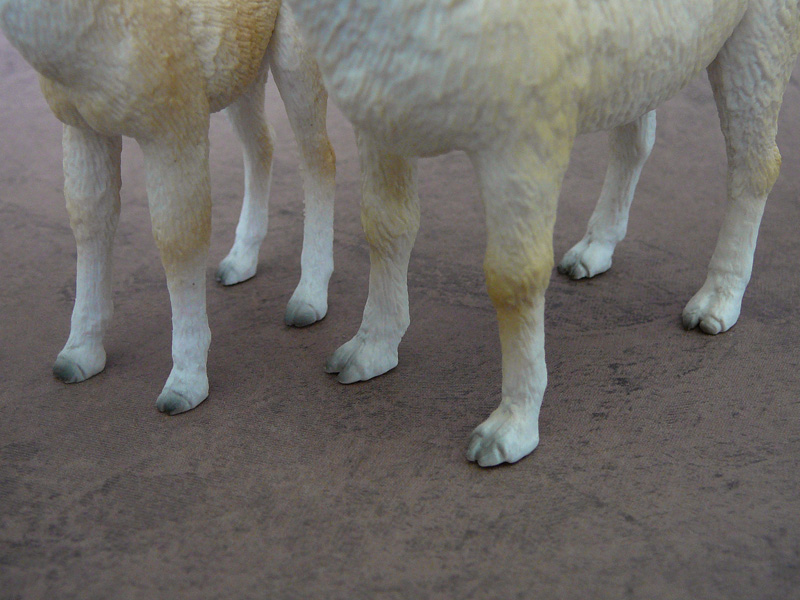 Mojö 2019 Llama and Cria- a walkaround by A.R.Garcia P1090607ed
