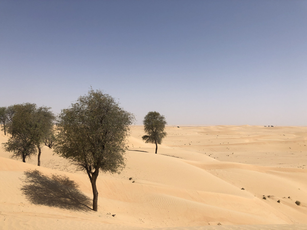 B1BEC743-E40A-45D5-B1CB-CA56E82152F2