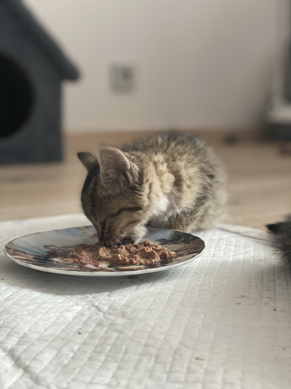 82886313-7410-419F-9A7C-D79BD1A0C680