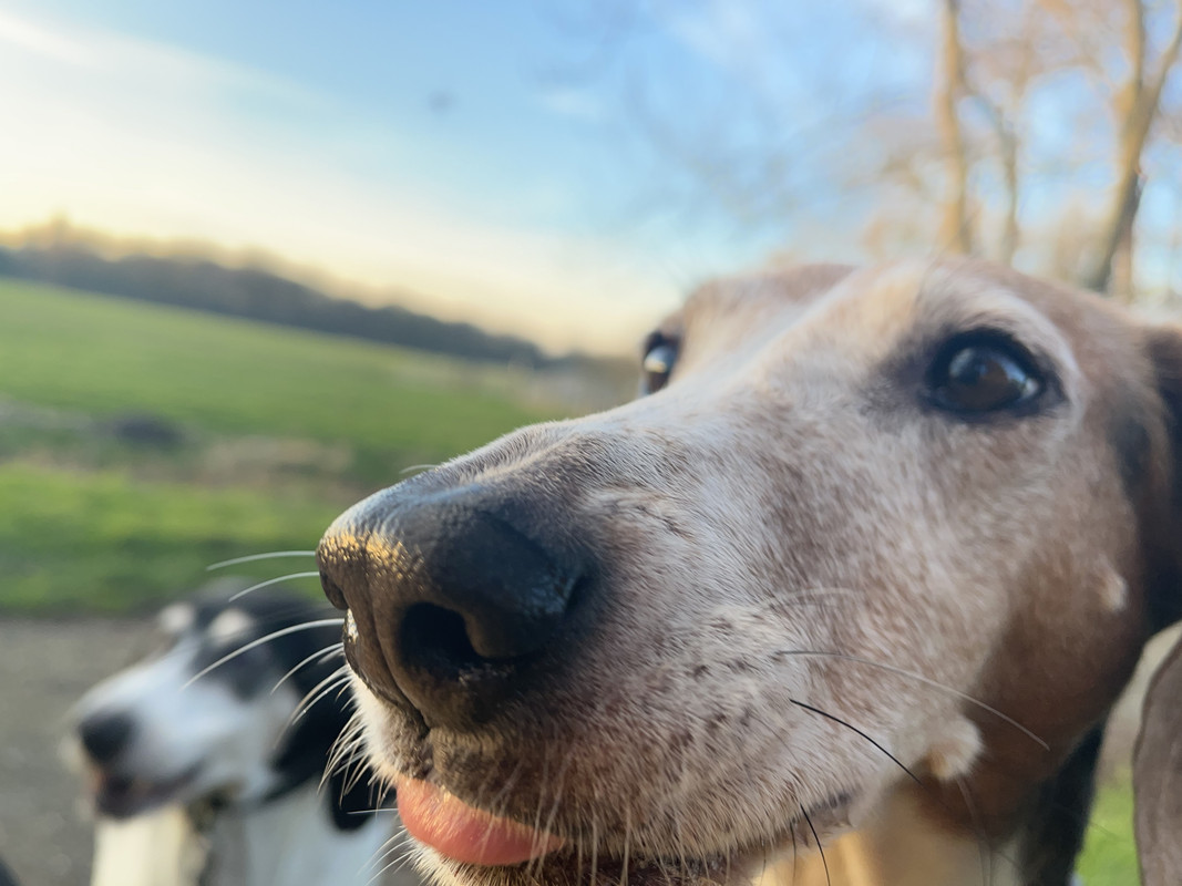 91F39E5A-B0C9-450E-9695-B6A146DA6614