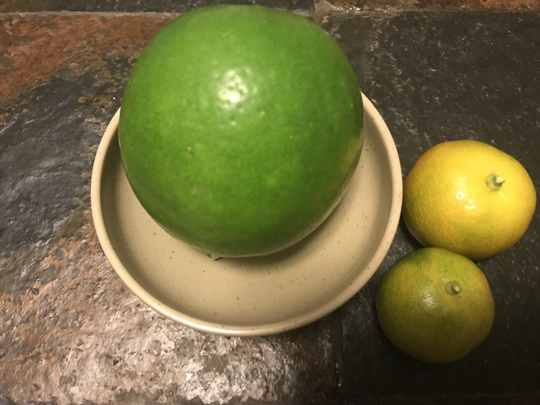 C0475FF2-67EE-4F86-8E26-33495DF3A5F6