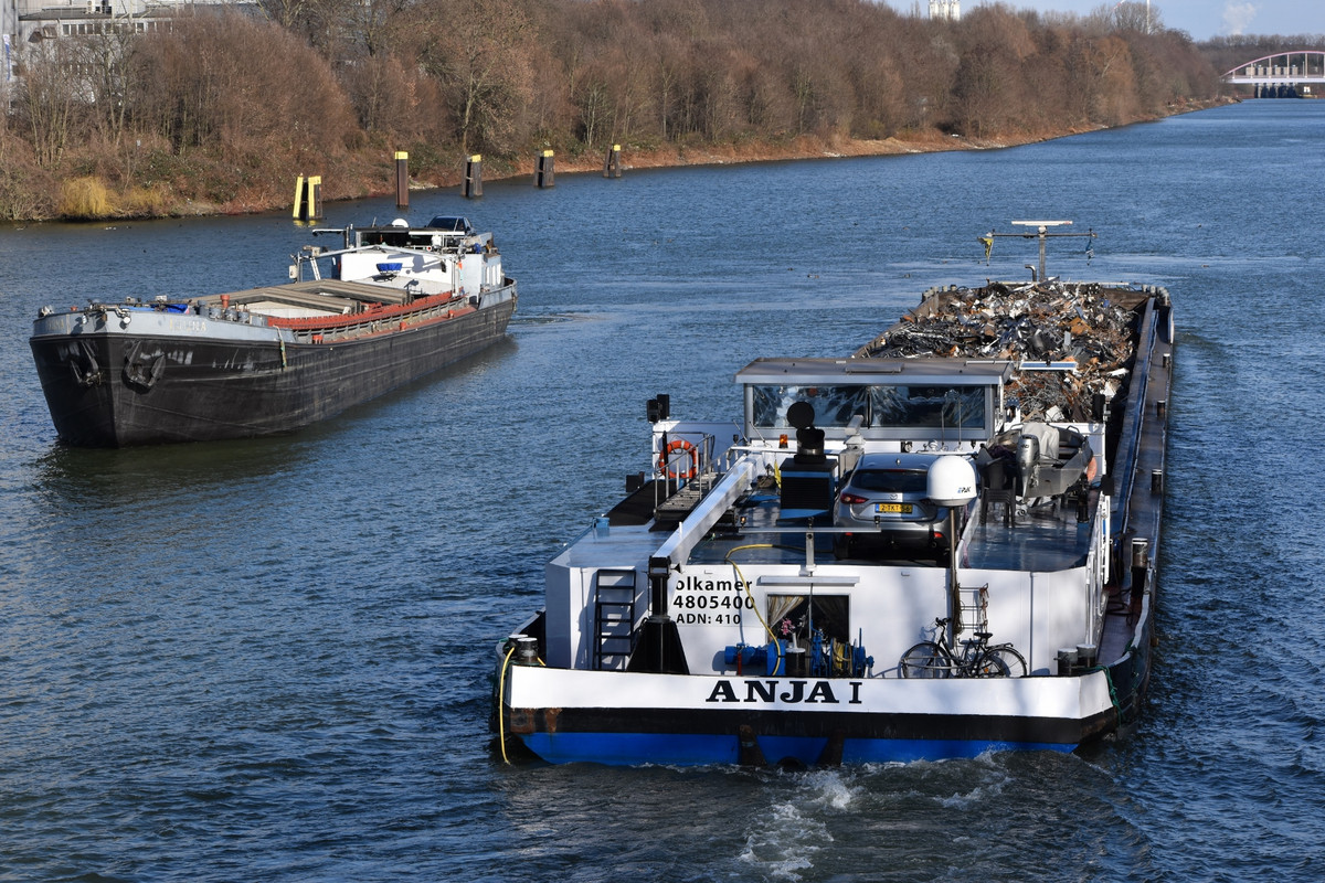 2023.02.27b3 Anja I (1940x1293)