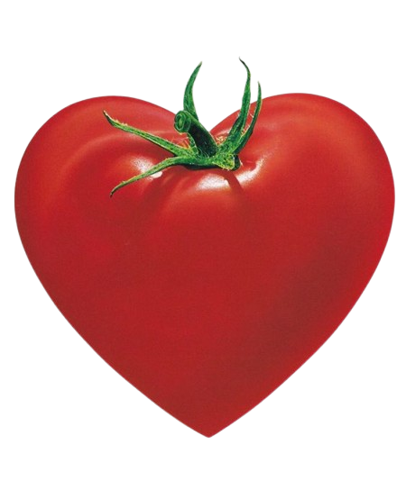 heart shaped tomato