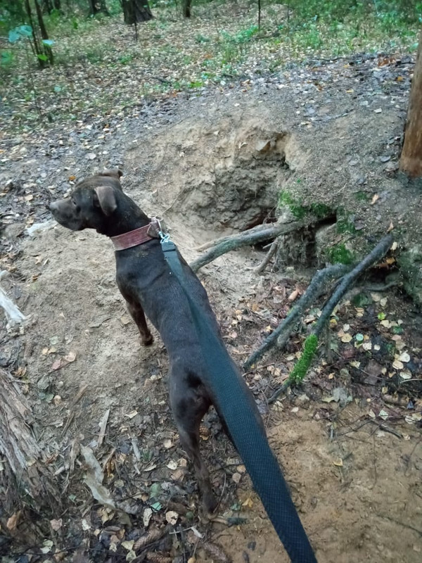 19A8CFD7-1CB7-4CE4-B87C-B35B914AFB2B