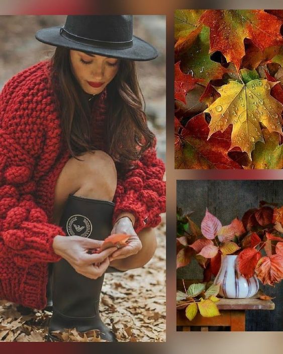 FALLSS1