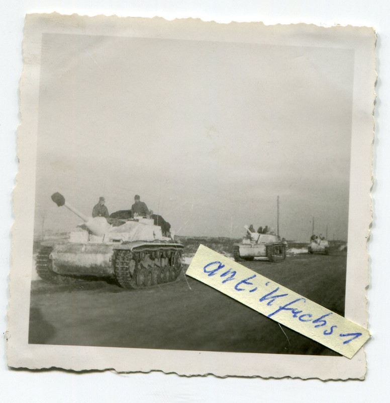 3 Panzer-Sturmgeschütze in weiß mit Saukopfblend