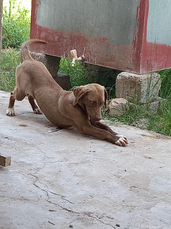 ٢٠٢١٠٤٠١_١٤٠٩٤٧