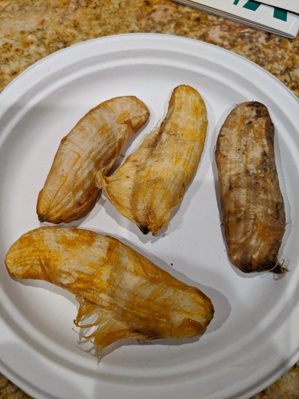 mango seeds