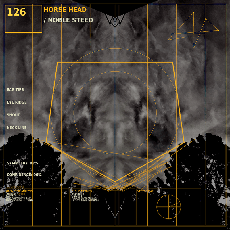 Horse head