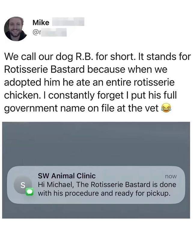 649233798-18518248495078704-7291388244117233201-n