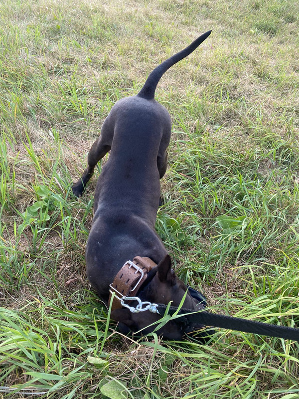 EAFCBF7D-5C1E-4859-9BFB-5280F74E9C9A