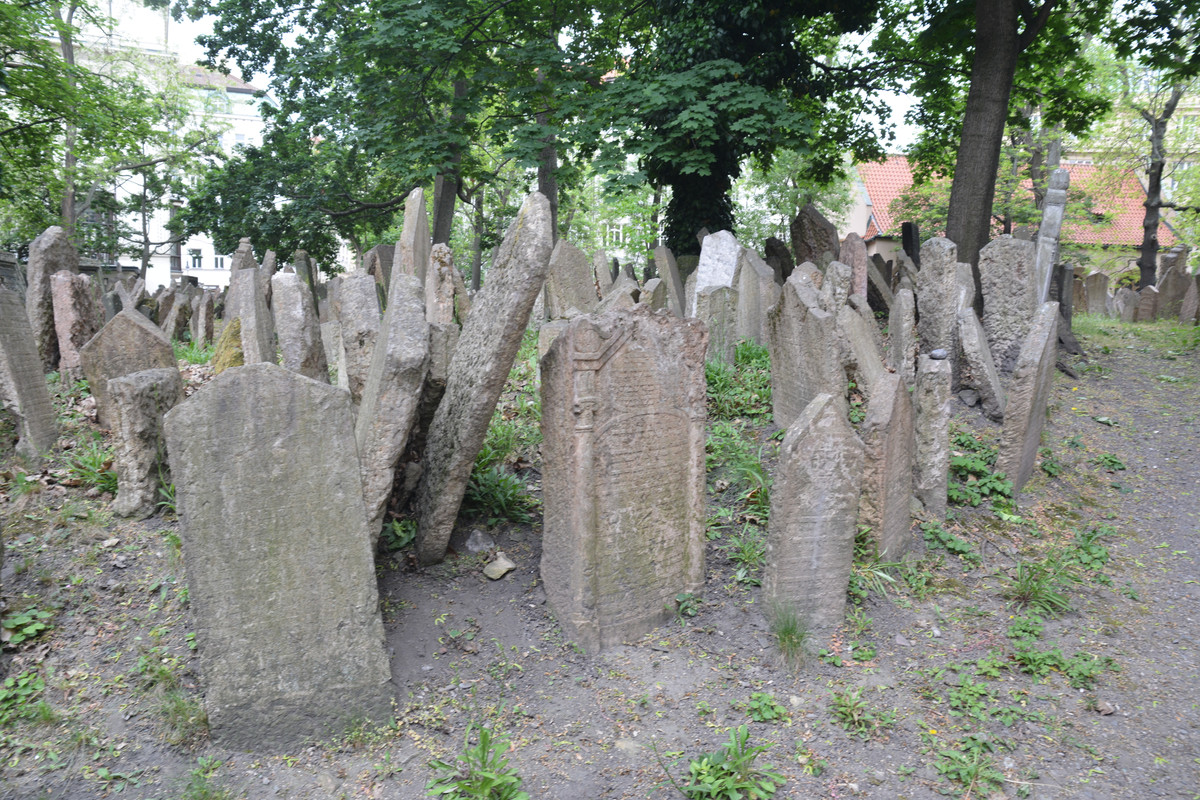 07.02 - DSC_9553 (Ater)