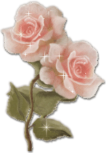 Shining pale pink roses