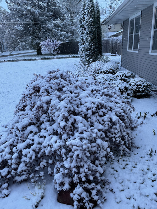 FFA2AFEF-3231-4182-853E-4294CC9D3D09